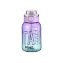 Picture of STAR TRITAN SULUK 800ML / MAVİ-YEŞİL - Voit